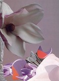 by Collage Art