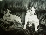 by Jenna Frazier