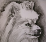 by els boedts
