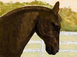 by Carole Boyd