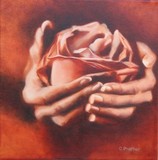 by Candace Antonelli