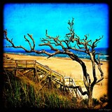 by Julie Kruger