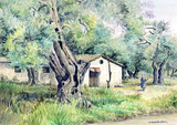 by haris christodoulides