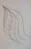 by Anna  Girgis