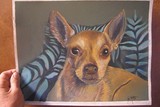 by Debi Melkonian