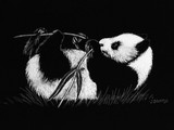 by Jennifer Jeffris