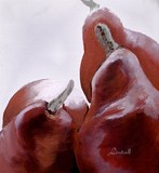 by linda lindall