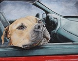 by Mary-Lee Sanders