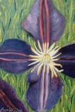 by Rachel McReynolds