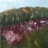 by Rachel Reichert