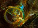 by Shelly Peacock