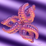 by Julie Everhart