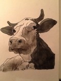 by carolyn woodward