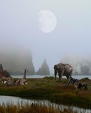by Wingsdomain.com 