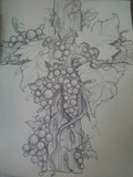by travis cuellar