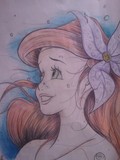 by travis cuellar