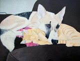 by Sarah Farr