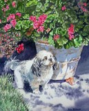 by Irina Sztukowski