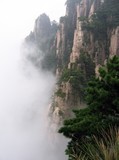 by Tak-Sek Chan