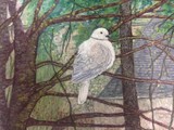 by Anna Beveridge