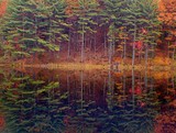 by Carol J. Hicks