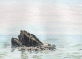by Charles Skilton