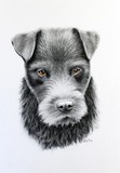 by Zile 