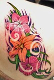 by Chris Aleman