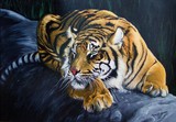 by juan jose Serra