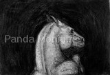 by Natasha Pauley