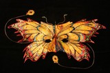 by Diego Rios