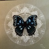 by Misty Tippens