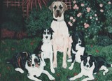 by june carney