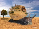 by Mohamed Berkane