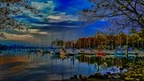 by michael  farnham