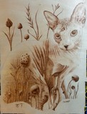 by Jessica Stepp