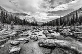 by Jonathan Dakin