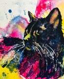 by Richard  OMalley 