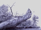 by Vincent Whitehead