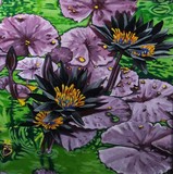 by Olivia Maney