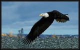 by Harry Eggens