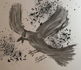 by JD Pearce