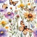 by Mihaela B
