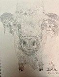 by Ariella Belau