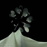 by Karen Jones