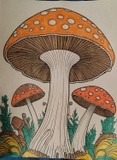 by Kimberly Perry