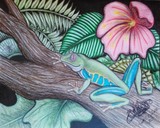 by Devon Wilson