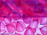 by Nira Dabush