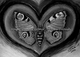 by Nira Dabush