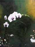 by sharifah intan syed hussain